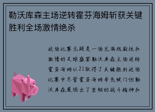 勒沃库森主场逆转霍芬海姆斩获关键胜利全场激情绝杀